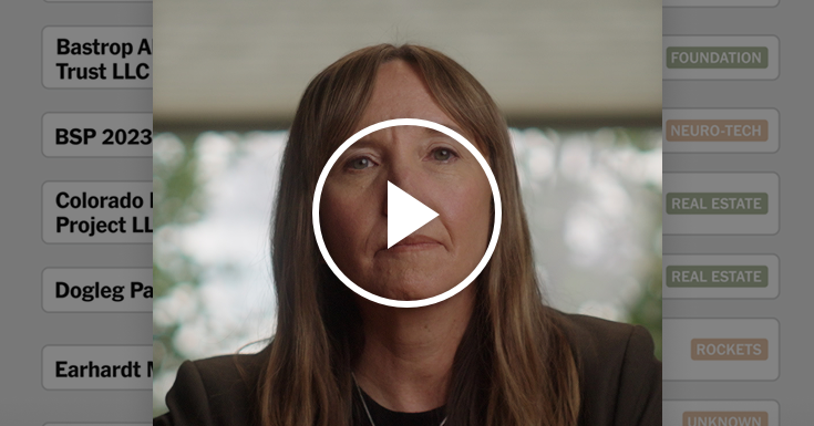 The Web of Companies Owned by Elon Musk