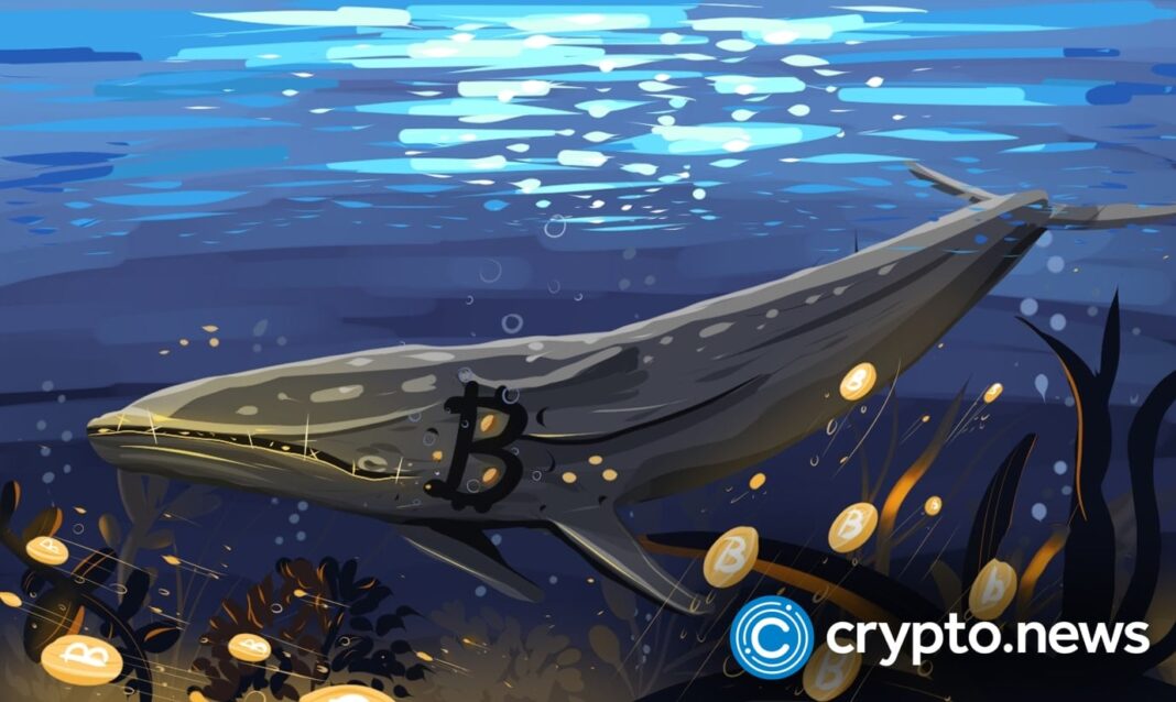 Bitcoin whales add 61,568 BTC as price slips again - 1