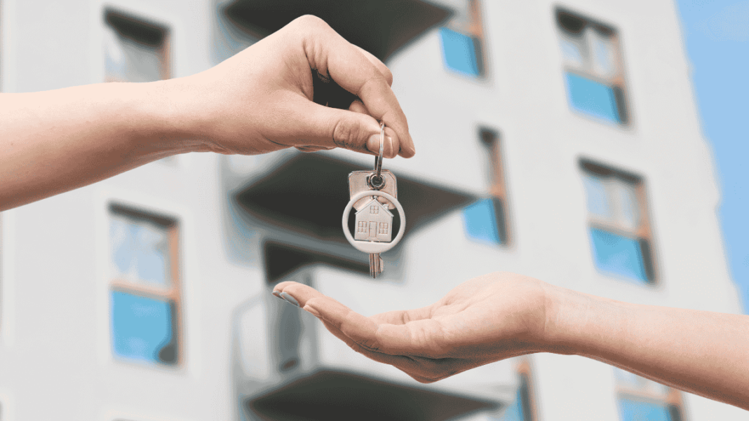 Contributor's Piece (80)