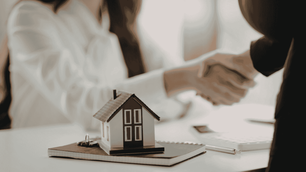 Contributor's Piece (60)