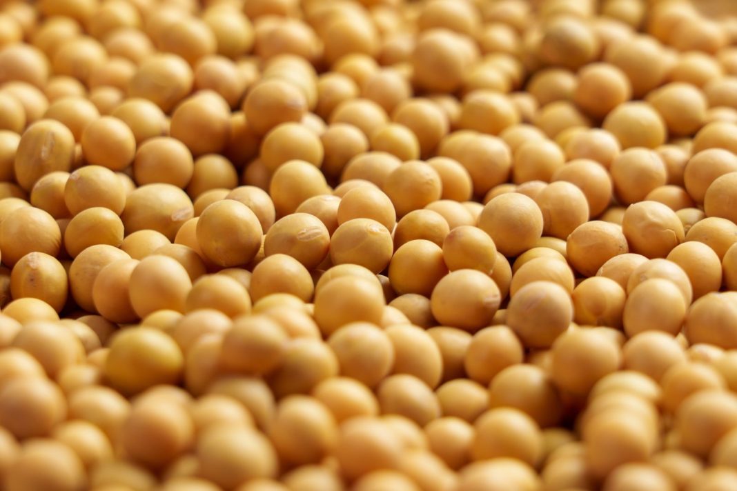 Soybeans Sliding to Thursday Morning Trade