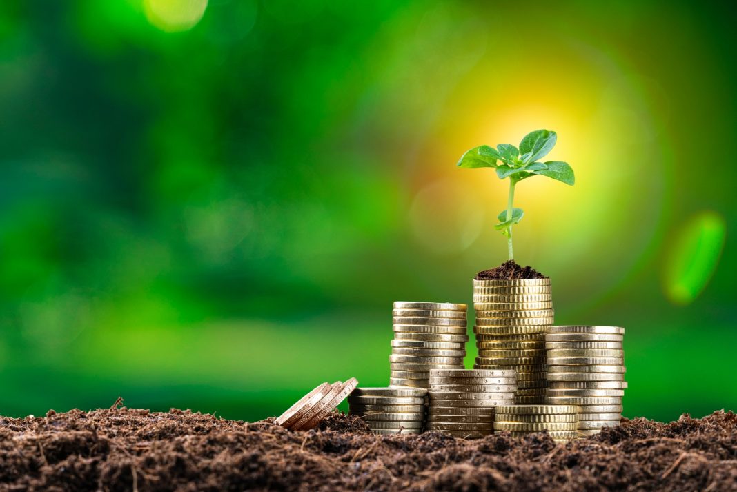 Wasatch Small Cap Growth Fund Q1 2026 Commentary