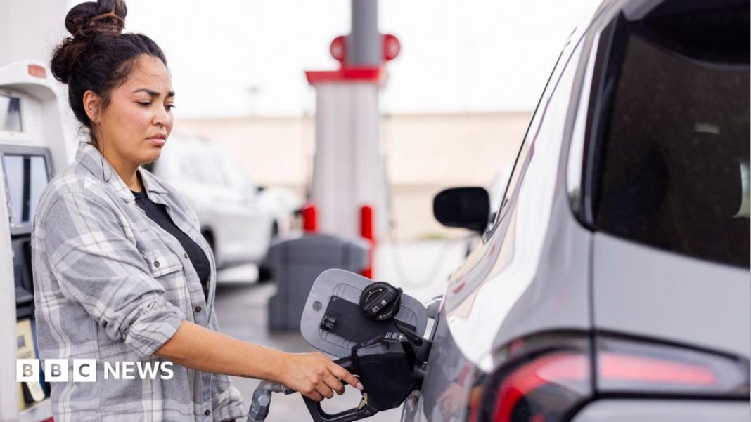 US inflation: Gas prices drive down CPI – but will it last?