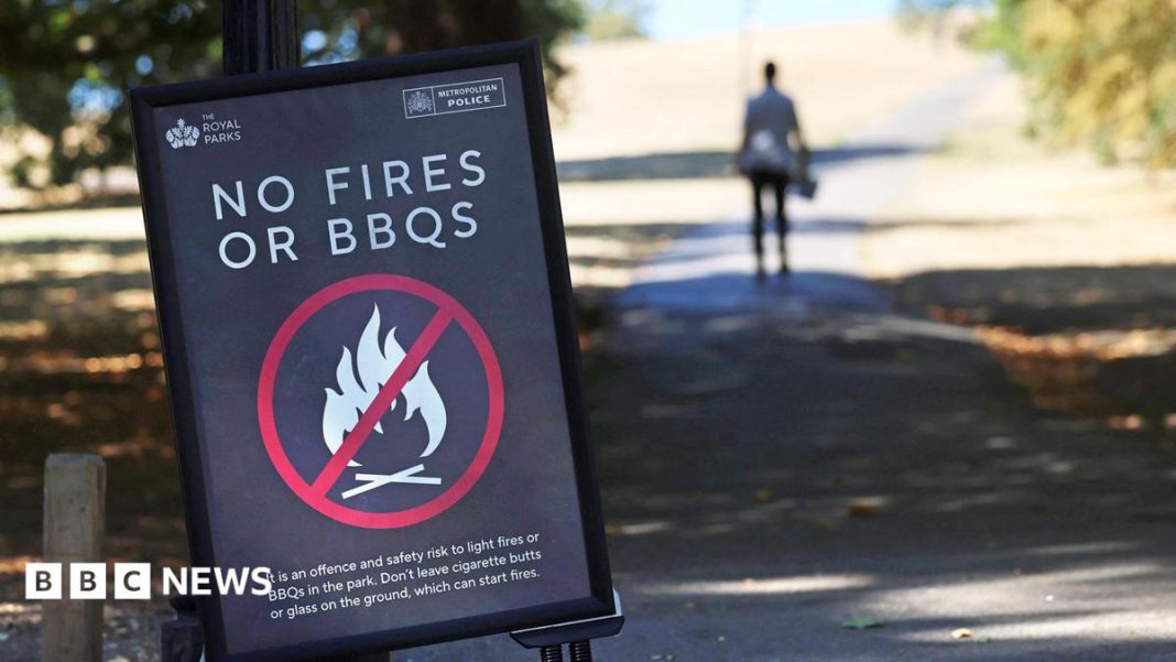 Temporary disposable barbecue ban over wildfire risk